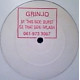 Grinjo - Burst / Splash (12" Vinyl Promo)