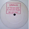 Grinjo - Burst / Splash (12" Vinyl Promo)