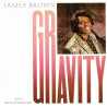 James Brown - Gravity (Extended Dance Mix / Dub Mix) / The Big G (Dig This Mess) 12" Vinyl Record