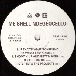 Meshell Ndegeocello - Dred Loc (5 Mixes) / If Thats Your Boyfriend / Shootin Up And Gettin High / Soul On Ice (Promo)