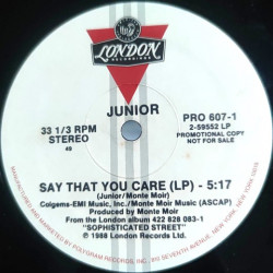 Junior - Say That You Care (LP Version / Edit) 12" Vinyl Promo