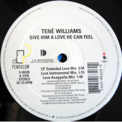 Tene Williams - Give Him A Love He Can Feel (Extended / Dub / Beats / Acappella) Steve Hurley Production