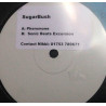 SugarBush - Pheramone / Sonic Beats Excursion (12" Vinyl Promo)