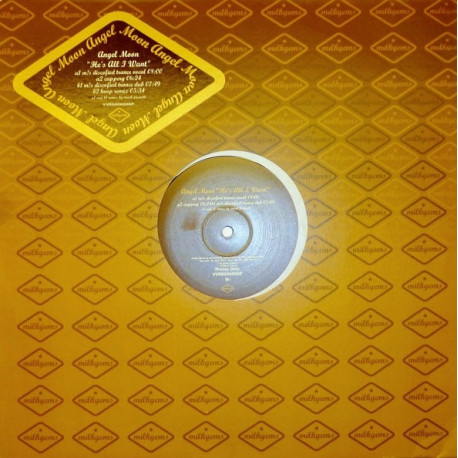 Angel Moon - Hes All I Want (Ms Discofied Trance Vocal / Ms Discofied Dub / Hoop Remix / Cappery) 12" Vinyl Promo