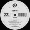 Esprit - Do You Want It Funky (Club Mix / Deep Love Mix / Whole Fruit Dub / 5th Circuit Club Dub) 12" Vinyl