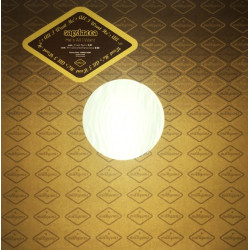 Angel Moon - Hes All I Want (Fused Remix / Ms Discofied Trance Vocal) 12" Vinyl Promo