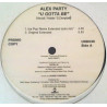 Alex Party - U Gotta Be (Original Extended / Ice Pop Remix / Alex Natale Club Mix / Misterricky Extended Mix) Vinyl Promo