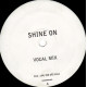 Scott & Leon - Shine On (Vocal Mix / Bassline Mix) Vinyl Promo