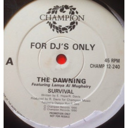 Dawning - Survival (2 Original Mixes) Vinyl Promo