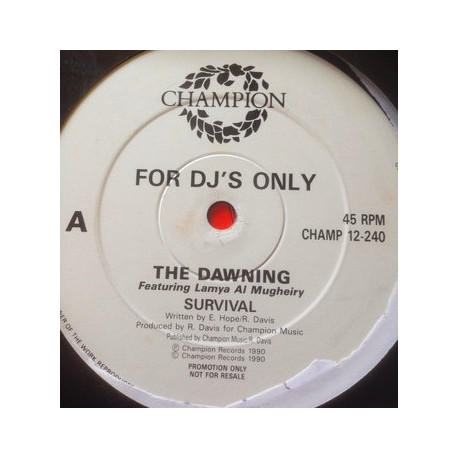 Dawning - Survival (2 Original Mixes) Vinyl Promo