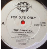 Dawning - Survival (2 Original Mixes) Vinyl Promo