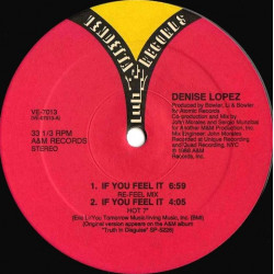 Denise Lopez - If You Feel It (Re Feel Mix / Hot 7" / Axid Dub / Percappella / Pop 7") Vinyl Promo