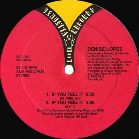 Denise Lopez - If You Feel It (Re Feel Mix / Hot 7" / Axid Dub / Percappella / Pop 7") Vinyl Promo