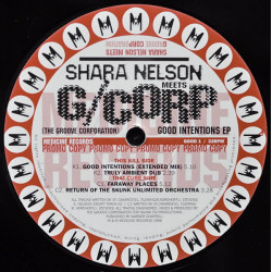 Shara Nelson Meets The G Corp - Good Intentions (Extended) / Truly Ambient Dub / Faraway Places / Return Of The SUO