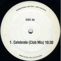 Degrees Of Motion - Celebrate (Club Mix) / Mega Motion Mix (Vinyl Promo)