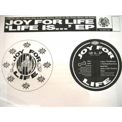Joy For Life - Love Is EP (The Riffmeister /The Prime Mover / L.I.T.E) Vinyl Promo