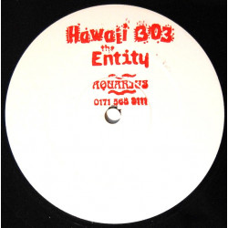 Hawaii 303 - The Entity (Club Mix / Full Mix / Radio Edit) 12" Vinyl Promo