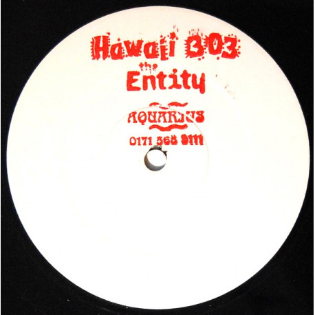 Hawaii 303 - The Entity (Club Mix / Full Mix / Radio Edit) 12" Vinyl Promo