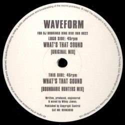Waveform - Whats That Sound (Original Mix / Boundarie Hunters Mix) Vinyl