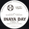 Inaya day - Feel It (Moguai Remix / Cheeky Dub) 12" Vinyl Promo
