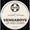 Vengaboys - Up And Down (BCM Club Mix / Tin Tin Out Remix) Vinyl Promo