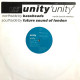 Unity - Unity (Bassheads Remix / Future Sound Of London Mix) Vinyl