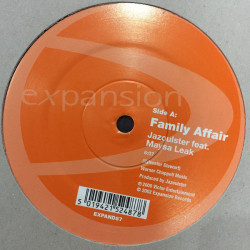 Maysa Leak - The Bottle / Family Affair