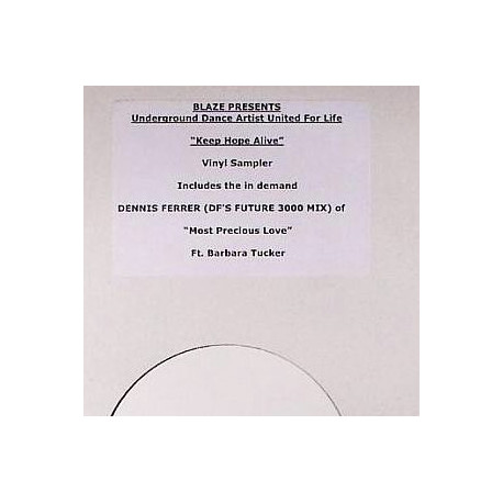 Blaze Presents - Underground Dance Artists 2 LP Feat Barbara Tucker / Stephanie Cooke / Ultra Nate / Kenny Bobien (8 Tracks)