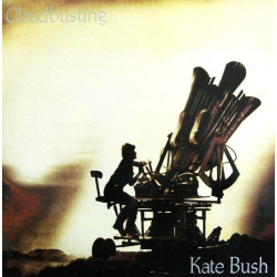 Kate Bush - Cloudbusting (Organon Remix) / Burning Bridge / My Lagan Love (Purple Label) Vinyl