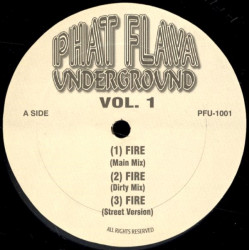 Busta Rhymes - Fire (Main / Dirty / Street) / 504 Botz - Wobble Wobble (3 Mixes)