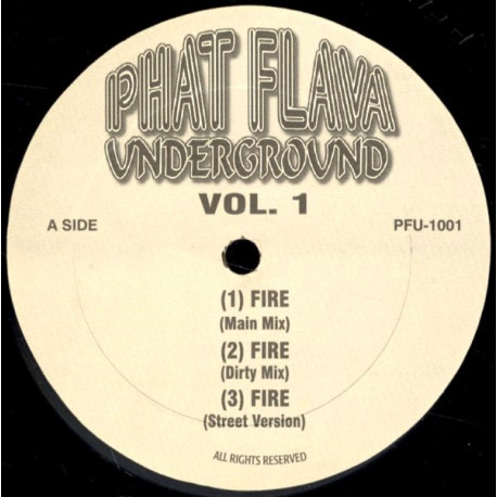 Busta Rhymes - Fire (Main / Dirty / Street) / 504 Botz - Wobble Wobble (3 Mixes)