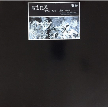 Winx - You Are The One (Original Mix / DJ Sneak Remix / Sylkscreen Vocal / Sylkcity Groove / Nigel Richards Remix) Double Vinyl