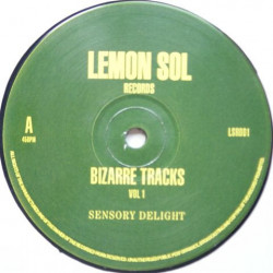 Bizarre Tracks Vol 1 - Sensory Delight / Journey Into Rhythm (12" Vinyl Record)