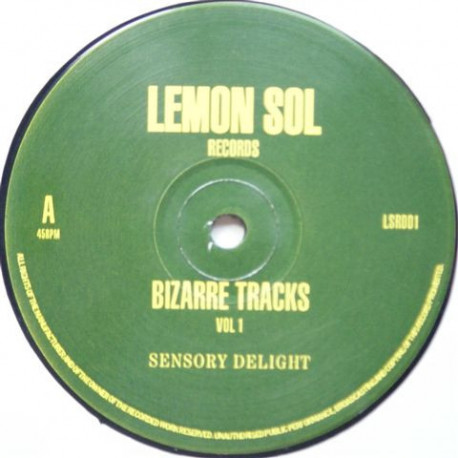Bizarre Tracks Vol 1 - Sensory Delight / Journey Into Rhythm (12" Vinyl Record)