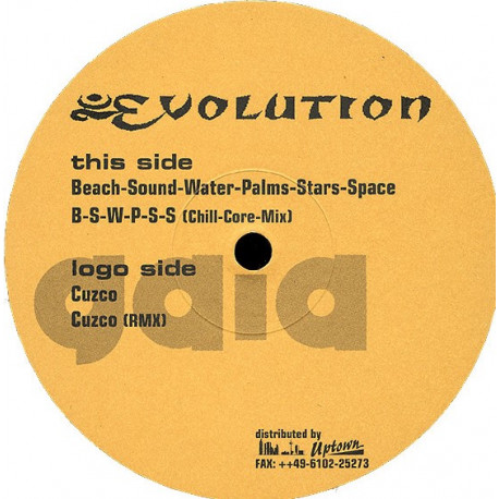 Evolution - Cuzco (Original / Remix) / Beach Sound Water Palms Stars Space (Original / Chill Core Mix)