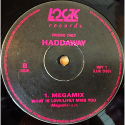 Haddaway - Megamix Feat What Is Love, Life & I Miss You / I Miss You (12" Mix / Album Mix) Vinyl Promo