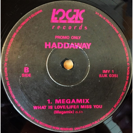 Haddaway - Megamix Feat What Is Love, Life & I Miss You / I Miss You (12" Mix / Album Mix) Vinyl Promo