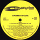 Journey Of Life - Drum Beats Go Like This (Beat Mix) / Do You Wanna Groove (Tribal Groove Mix / Drum Dub)
