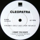Cleopatra - I Want You Back (Stepchild Remix / Stepchild Instrumental / R&B Remix / Original Mix) Vinyl Promo