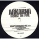 Arkarna - House On Fire (Propellerheads Mix / Andy Ling Aryan Vox) Vinyl Promo
