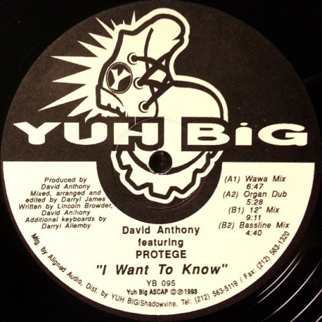 David Anthony feat Protege - I Want To Know (12" Mix / Wawa Mix / Organ Dub / Bassline Mix)