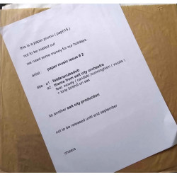 Paper Music (Issue 2) - Fatdansrubadub / Theme From Salt City Orchestra  (Vinyl Promo In Brown Paper Bag)