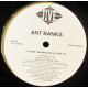 Ant Banks - I Think I Wanna Die (LP Version / Radio Mix / Acappella / Radio Remix / Remix Inst) / Sound Of Lead (Feat Spice One)