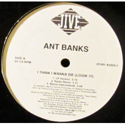 Ant Banks - I Think I Wanna Die (LP Version / Radio Mix / Acappella / Radio Remix / Remix Inst) / Sound Of Lead (Feat Spice One)