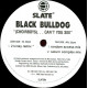 Black Bulldog - (Choirboys)....Cant You See (2 Kinky Remix / Random Access Mix / Saturn Complex Mix)