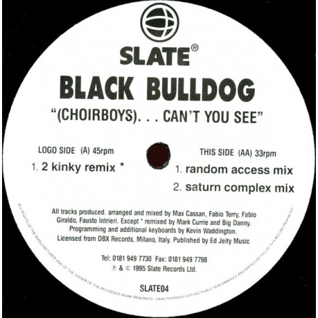 Black Bulldog - (Choirboys)....Cant You See (2 Kinky Remix / Random Access Mix / Saturn Complex Mix)