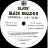 Black Bulldog - (Choirboys)....Cant You See (2 Kinky Remix / Random Access Mix / Saturn Complex Mix)