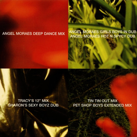 Pet Shop Boys - Paninaro 95 (PSB Extended / Tin Tin Out Mix / 3 Angel Moraes Mixes / 2 Tracy & Sharon Mixes) Double Vinyl