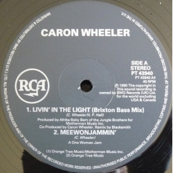 Caron Wheeler - Livin In The Light (Brixton Bass Mix / Original Story / 7" Mix) / Meewonjammin