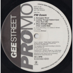 PM Dawn - When Midnight Sighs (Fully Loaded Vocal / Inst / Dub) / Looking Through Patient Eyes (Pete Rock Mix) / Norwegian Wood